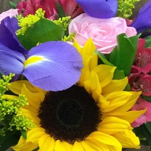 Meet your Posher, Louise